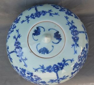 LARGE Chinese Porcelain Blue & White Vase & Lid with bats 5