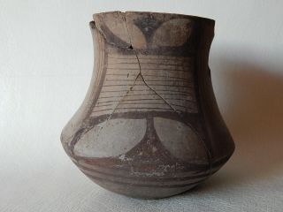 Prehistoric Cup 114 Mm