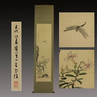 Japanese Painting Hanging Scroll Japan Dragonfly Lily Vintage Art 052n