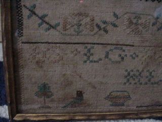 ANTIQUE FRAMED 1822 CROSS STICH SAMPLER ELIZA ANN CAGE 10 YEARS OLD 6