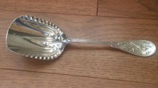 Rare Tiffany & Co 1871 Victorian Sterling Silver " Japanese " Cracker/berry Scoop