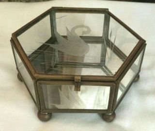 Vintage Miniature Brass & Glass Vitrine/Display Box w/ Etched Swan / Balled Feet 2