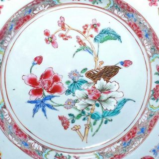 CHINESE 18th C FAMILLE ROSE PLATE - 22.  5cm GOOD GILDING & SURFACE 2