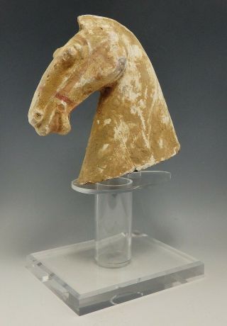 Han Dynasty Chinese Terracotta Horse Head (334l)