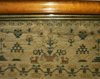 EARLY/MID 19TH CENTURY VERSE & MOTIF SAMPLER BY JANE PETCHEY AGED 11 - 1837 11