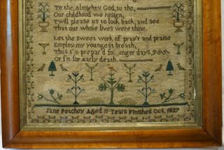 EARLY/MID 19TH CENTURY VERSE & MOTIF SAMPLER BY JANE PETCHEY AGED 11 - 1837 3