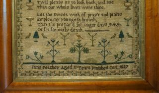 EARLY/MID 19TH CENTURY VERSE & MOTIF SAMPLER BY JANE PETCHEY AGED 11 - 1837 8