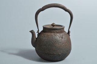 T5298: Japanese Xf Old Iron Shapely Tea Kettle Teapot Tetsubin W/copper Lid