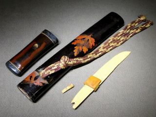 Makie Lacquered TANTO Sword KOSHIRAE w Fuchi/Kashira 19thC Japanese Edo Antique 10