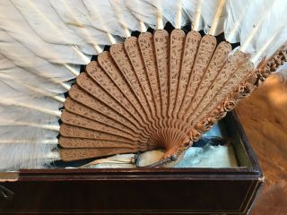 Chinese Qing Dynasty Carved Sandalwood Feather Fan with Lacquer Box. 10