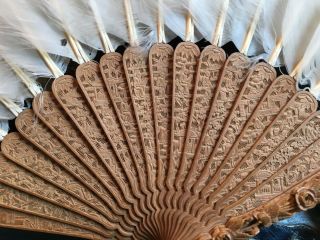 Chinese Qing Dynasty Carved Sandalwood Feather Fan with Lacquer Box. 11