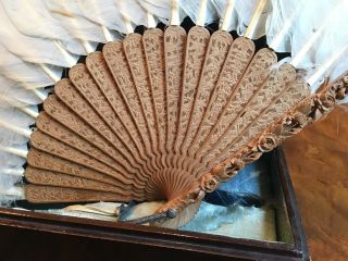 Chinese Qing Dynasty Carved Sandalwood Feather Fan with Lacquer Box. 2