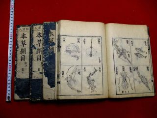 2 - 35 Honzo Japanese Chinese Animal Bird Fish Woodblock Print 4 Book