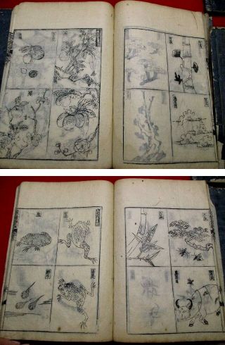 2 - 35 HONZO Japanese Chinese Animal Bird Fish Woodblock print 4 BOOK 8