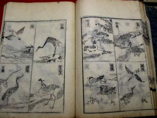 2 - 35 HONZO Japanese Chinese Animal Bird Fish Woodblock print 4 BOOK 9