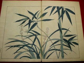 2 - 30 Japanese flower SHIKI Woodblock print BOOK 10