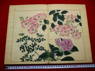 2 - 30 Japanese Flower Shiki Woodblock Print Book