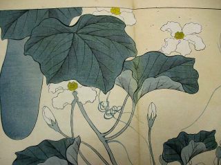 2 - 30 Japanese flower SHIKI Woodblock print BOOK 3