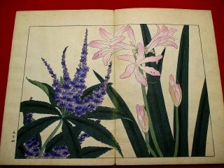 2 - 30 Japanese flower SHIKI Woodblock print BOOK 6