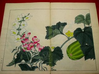 2 - 30 Japanese flower SHIKI Woodblock print BOOK 9