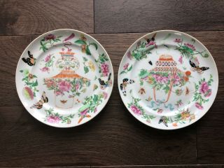 Famille Rose Canton Plates 19th Qing Basket Of Flowers Butterflies