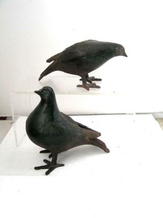 Rare Antique Cast Iron Dove Pigeon Art Pair Statues Architectural Life Size