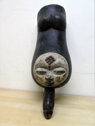 Old Tribal Punu Belly Mask Gabon Fes - Gb456