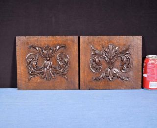 French Antique Carved Panels In Oak Wood Salvage