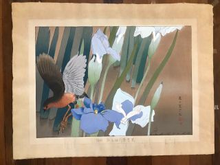 Large Antique Japanese Woodblock Print,  Tsuchiya Rakusan “irises” Estate Find Nr