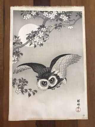 Antique Ohara Koson (shoson) Scops Owl Japanese Woodblock Print Estate Find Nr