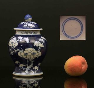 A Antique Chinese Porcelain Blue & White Prunes Jar With Cover 1900