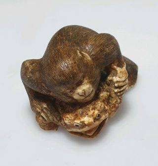 A Fine Edo Period Netsuke Of A Grappling Monkey & Toad. 2