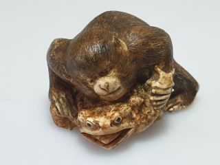 A Fine Edo Period Netsuke Of A Grappling Monkey & Toad. 5