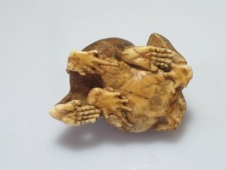 A Fine Edo Period Netsuke Of A Grappling Monkey & Toad. 7