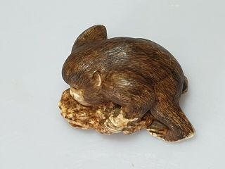 A Fine Edo Period Netsuke Of A Grappling Monkey & Toad. 8