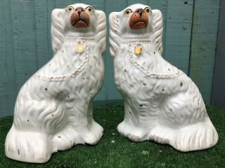 Pair: 19thc Staffordshire White & Gilt Seated Spaniel Dogs C1880s