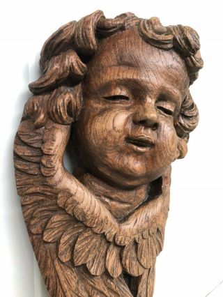 Stunning Antique Cherub/ Angel / Putti Carved In Wood Circa 1880 (1)