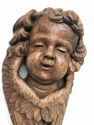 Stunning Antique Cherub/ Angel / Putti carved in wood circa 1880 (1) 3