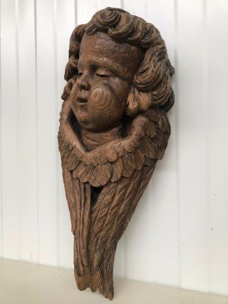 Stunning Antique Cherub/ Angel / Putti carved in wood circa 1880 (1) 7