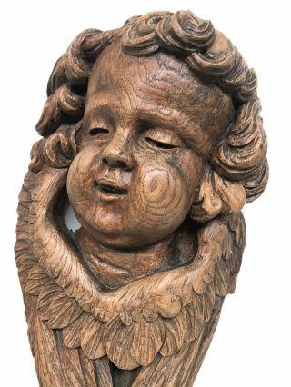 Stunning Antique Cherub/ Angel / Putti carved in wood circa 1880 (1) 9