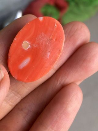 Antique old stock natural red coral cabochons other amber turquoise 2