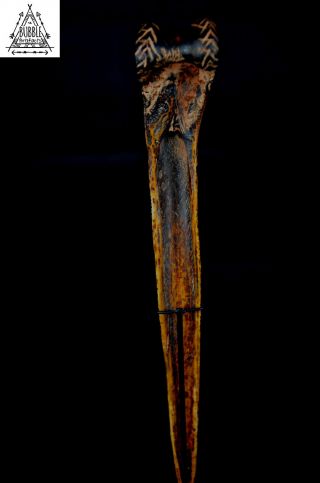Stunning Fine Vintage Abelam Dagger,  Papua Guinea,  PNG 10
