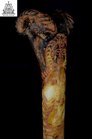 Stunning Fine Vintage Abelam Dagger,  Papua Guinea,  PNG 6