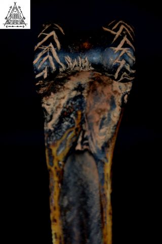 Stunning Fine Vintage Abelam Dagger,  Papua Guinea,  PNG 9