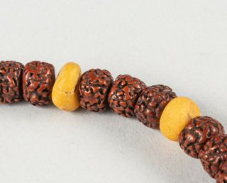 Chinese Antique/Vintage Seed & Amber Prayer Beads 9