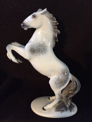 Rosenthal Porcelain Rearing Dapple Gray Horse Fugurine