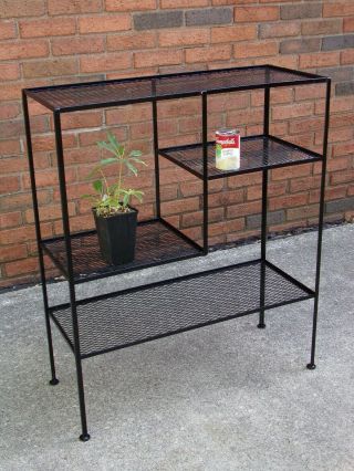 Frederick Weinberg Display Plant Stand Tony Paul 3