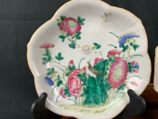 19th C.  Chinese Two Famille - rose Petal - barbed Bird Plates 2