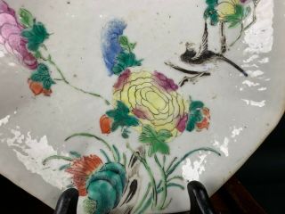 19th C.  Chinese Two Famille - rose Petal - barbed Bird Plates 5