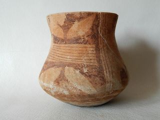 Prehistoric Cup 112 Mm